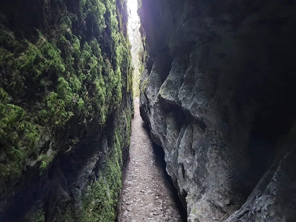 Sentier étroit dans une gorge aux parois moussues