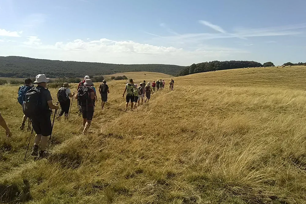 Plateaux de l’Aubrac